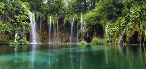 Croatian Delight